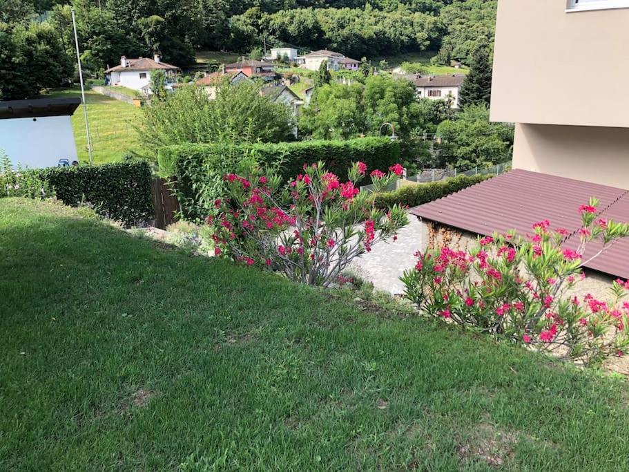 Sinergia E Benessere SantʼAntonio Extérieur photo